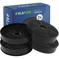 Alapure 2x Koolstoffilter voor Hoover C6918 / 35602061 (2st.)