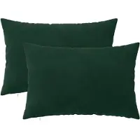vidaXL Kussensloop 2 st HEERLEN Donkergroen 40 x 60 cm fluweel
