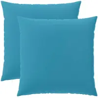 vidaXL Kussensloop 2 st HEERLEN Lichtblauw 60 x 60 cm Polyester