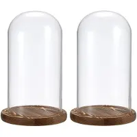 Merkloos Solidchoice - Decoratieve Glazen Koepel met Houten Basis