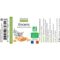 Propos Nature Propos' Nature - Biologische Wierook Essentiële Olie - 5 ml - 100% Puur - Frankincense - Boswellia Carterii - Voor Meditatie & Ontspanning