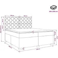 vidaXL Boxspringbed met matras, zwart, 200 x 200 cm, fluweel