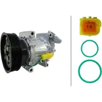 Hella 8FK 366 204-221 Aircopomp