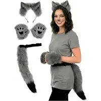 Metamorph Zilvervos kostuumset