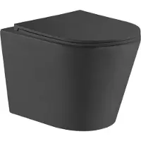 Qeramiq Dely Wandclosetset - 36.3x51.7cm - diepspoel - rimless - slim zitting - mat zwart E13 matt black
