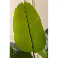 PrettyPlants Bananen Kunstplant 150 cm | Bananenboom Kunstplant | Kunstplanten voor Binnen | Grote Kunstplant