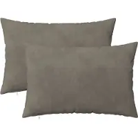 vidaXL Kussensloop 2 st HEERLEN Lichtgrijs 50 x 80 cm fluweel