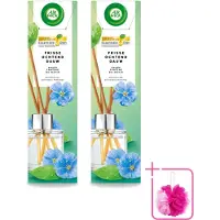 Air Wick 2 x - Geurstokjes - Frisse Ochtenddauw - Essentiële Oliën - 40 ml - Bulkverpakking - Geurstokjes - Douchemop - Frisse ochtenddauw