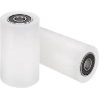 Dripio 2 nylonrollen met lagers, 10x40x70 mm