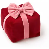 Textino CUDDLE-GIFTBOX - sierkussen 20x20x18 cm - cadeaudoos - Peony - rood, roze