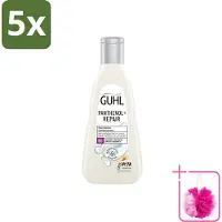 Guhl 5 x – Shampoo – Panthenol+ Repair – 250 ml - Bulkverpakking - Hydratatie haar - Douchemop - Herstel shampoo