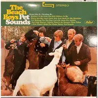 The Beach Boys - Pet Sounds (200 g) (45 RPM) (2 LP)
