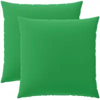 vidaXL Kussensloop 2 st HEERLEN Groen 65 x 65 cm Polyester