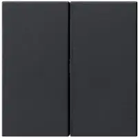 Gira 5362005 S3000 Bedienpaneel, 2-voudig, systeem 55, zwart, mat (gelakt)