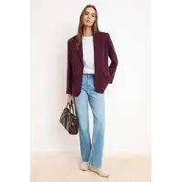 Trendyol TRENDYOLMİLLA Dames Paars Effen Lang Oversized Blazers