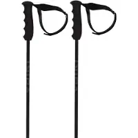 Völkl Speedstick Stokken