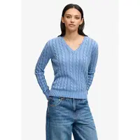Superdry Trui blauw