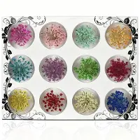 Famanu – Gedroogde bloemen set van 12 kleuren voor nagelkunst en sieraden, in transparante doos