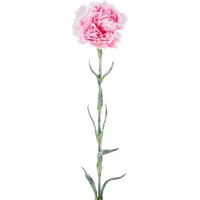 Easyplants | Kunstbloem Carnation 68 cm roze | Zijde | Nepbloemen | roze | Onderhoudsvrij | Kant-en-klaar