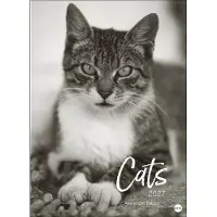 Merkloos XXL Kalender 2027 - Elegante katten in zwart-wit