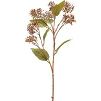 Easyplants | Kunstbloem Sedum 67 cm bruin | Zijde | Nepbloemen | bruin | Onderhoudsvrij | Kant-en-klaar