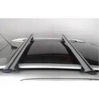 Amos Dakdrager voor Chevrolet Rezzo Kombi 2000-2004