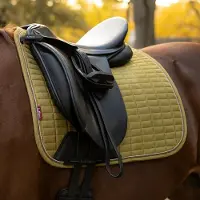 LeMieux Zadeldek Suede Dressage Square Lichtgroen