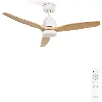 Create - Stille plafondventilator van 40 W met technische ABS-bladen, verkrijgbaar in verschillende maten - S - Met licht - Afstandsbediening - WIND STYLANCE