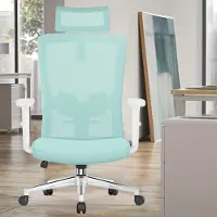 Selius Bureaustoel - Office Chair - Bureaustoelen - Draaistoel - Ergonomische Stoel - Verstelbare Lendensteun