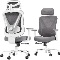Selius Bureaustoel - Ergonomische Stoel - Office Chair - Gaming Stoel - Bureaufiets - 4D Verstelbare Armleuningen