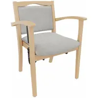 Erides GmbH Armstoel Alexander met opstahulp – Zorgstoel met opstahulp en armleuningen – Zit hoogte: 52 cm. Bekleding: Clean-stof Como, grijs. Bodemglijders: wit kunststof