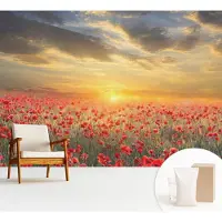 Wallfluent Fotobehang - Rood Vliesbehang - 312x219 cm - Papaverveld Muurschildering - Gang behang Bloemen En Planten - Fotobehang Vlies - Slaapkamer behang