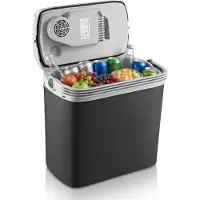 Ren Elektrische koelbox 12 en 230 volt - Elektrische koelbox - Koelbox - Zwart - 25cm x 40cm x 40cm