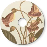 Creative Cables Ellepi Ellepì Mini-flatscreen Met Bloemenpatronen ´bloemenparadijs´ 24 Cm