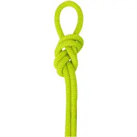 Salewa Double 7.9 klimtouw (Maat 50M, Geel)