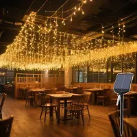 JOIEYOU 15 meter lichtketting met 600 LED's, kerstverlichting met 13 lichtmodi. Lichtketting werkt op zonne-energie/USB, geschikt voor kerst, Pasen, Halloween, bruiloften