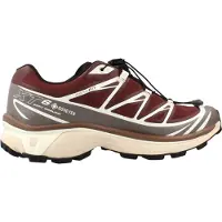 Salomon XT 6 GTX Bruin 38 2/3 EU