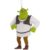 Hallmark Kerst Ornament Dreamworks Shrek 5 X 5,5 X 8,5 Cm