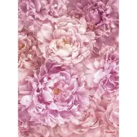 Komar Fotobehang vlies Soave 184x248 cm