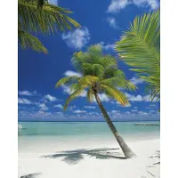 Komar Fotobehang Ari Atoll Groot