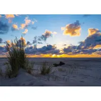 Rasch Fotobehang Strand Zonsondergang Blauw Beige 2.65x3.71m