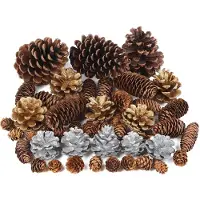 Merkloos 45 Stuks Natuurlijke Dennenappels voor Kerstdecoratie en DIY Crafting