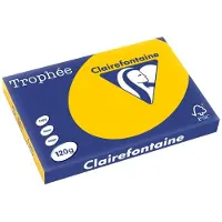 Clairefontaine TROPH ZONNEBLMGL A3 120GR 250V