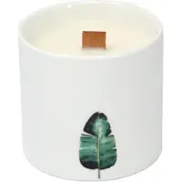 Ancient Wisdom Set Grote Botanische Geurkaarsen - Wilde Jasmijn - Soy Wax - Keramiek Potten