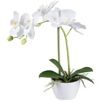 Kopu kunstorchidee 33 cm set van 2 - te pot phalaenopsis