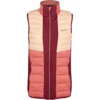 Regatta Dames/Dames Leedre Bodywarmer (Rumba Rood/Mineraal Rood)