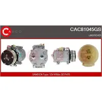 Casco CAC81045GS Aircopomp