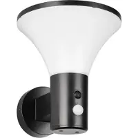 OEM LED-buitenwandlamp Gorda, hybride (zonne-energie/netstroom), 3,5W, zwart