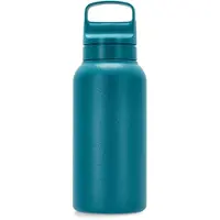 LifeStraw Go Laguna Teal GOST-1L-TEAL Stainless Steel, waterfles met 2-stage filter, 1L