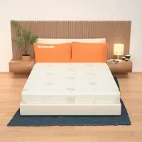 OEM Orthopedisch matras, watergel, aloë vera, 160x200 cm, wit